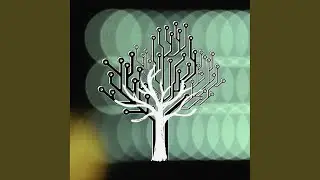 Electrovision