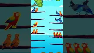 Smart birds flying #shortvideo #cutebirds #birds #gameplay #birdworld #flyinganimals #birdnerd #bird