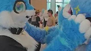 好多兽，贴一下！【兽聚VLOG】#furry #兽聚 #vlog #搞笑 #兽装