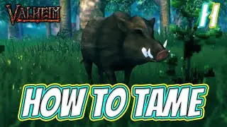 How to Tame a Boar