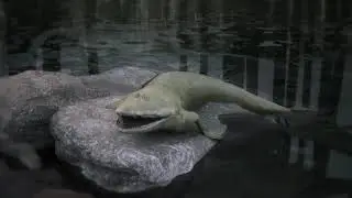 Ancient fish fossil reveals evolutionary origin of the human hand