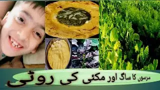 Makki Di Roti sarsun Da Saag .Now everyone can become .@sidrakamagickitchen8981
