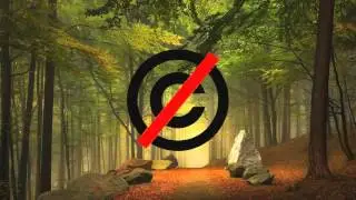 #copyright_say_no ღ Nightcore III - How Do You Do
