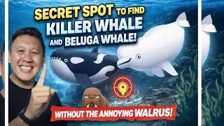 The BEST SECRET SPOT 
