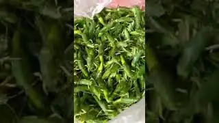 Con muỗm l&uacute;a gần 1 triệu/kg