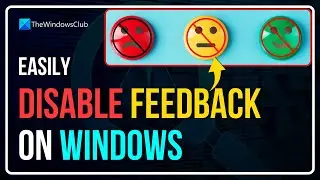 How to disable feedback in Windows 11