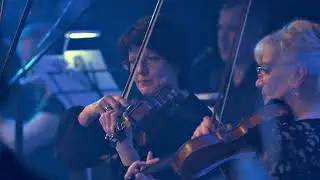 Renaissance Cellos 