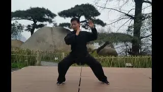 Jesse Tsao front view demo Chen Tai Chi Xin jia New Frame Cannon Fist - 2012