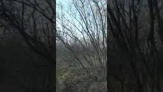 взрыв в лесо посадке  jf k06