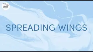 Spreading Wings (From the Album BLUEPRINT) - Steve Ryan Antony