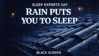 8 Hours of Rain Sounds for Sleeping 🌧️ Deep Rest All Night, No Distractions