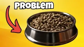 My WORST Dog Mistakes To AVOID!
