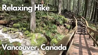 4🅺 Virtual Hike through Deep Cove Trails - Incredible Nature of British Colombia, Canada【4K 60fps】