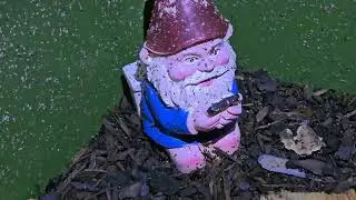 Worm Wizard Wisdom Journal Journey 05/16/2025