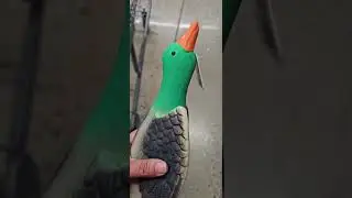 Funny Dog Toy Squeaky Toy Duck Sounds at Walmart