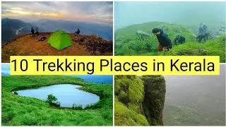 Top 10 Places To Trek In Kerala|Trekking Places Fo[r Beginners|Travel Guide|Travel Video