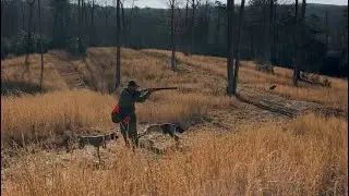 Snugs & Zoli Quail Hunt Etowah Valley Game Preserve