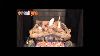 Real Fyre Evening Fyre Gas Logs Live Burn Video &ndash; eFireplaceStore