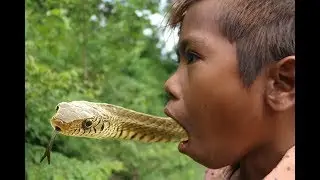 Awesome Bamboo Snake Trap Catch Many Snakes By Clever Boys -2017