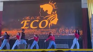 Eco ambassador 