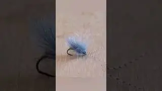 CDC Caddis Fly Tying