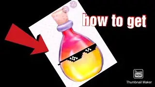 How to get the treasure quest egg