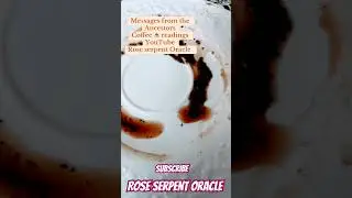 Rose Serpent Oracle ⚡️COFFEE CUP READING #coffeecupreading