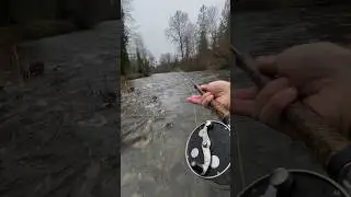 POV: You&rsquo;re Swinging Flies for Winter Steelhead in the PNW
