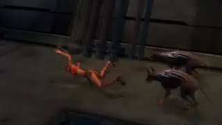 Echidna Gets Hunted By Watchdogs - The Bouncer Ryona