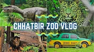 Chhatbir Zoo Chandigarh! chhatbir zoo! mahendra chaudhary zoological park #vlog #travel #nature #zoo