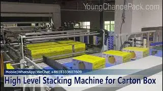 Automatic Palletizer | High Level Stacking Machine for Carton Box | Young Chance Pack