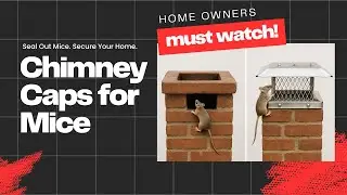 Chimney Caps for Mice &ndash; Stop Rodents from Entering Your Chimney! 🐭🔥