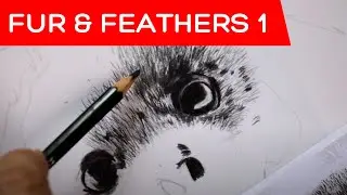 Lesson 7: Fur and Feathers Part 1 | Techniques for Pencil Drawing ✏️