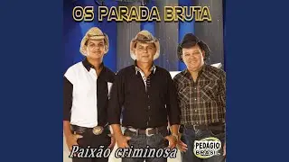 Sincero Amor / Quero Falar Com Alguém