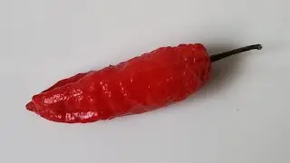 two chili flavor profiles in one... Ghostly Jalape&ntilde;o!