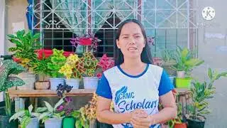 Naturalistic Intelligence