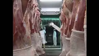 Meat Loading Arm