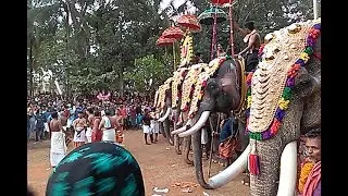 Temple festival, Indian cultural programs