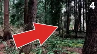 5 Forest Mythical Creature Monster caught on Camera - Paranormal TOP 5