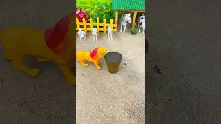 Mini Water Pump for Lion 🦁 | Relaxing Animal Video | #shorts #youtubeshorts