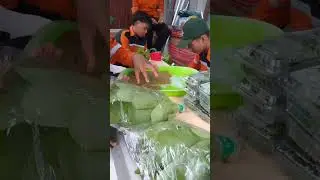 Pakcoy selada dan daun mint #atph #atphsmkn1mhs #hidroponik #hidroponikpemula