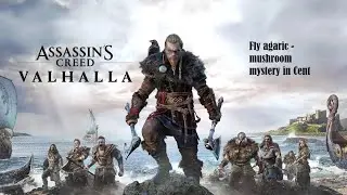 Fly agaric - mushroom mystery in Cent AC Valhalla