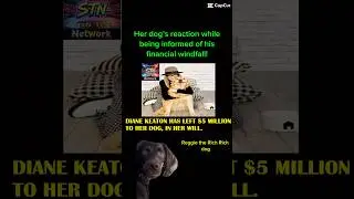 Diane Keaton left her dog millions?! #shorts #reels #money #dog #funny #news #comedy #headlines #fun