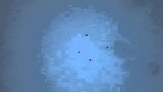 MOV01143