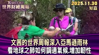 文茜的世界周報深入亞馬遜雨林 看地球之肺如何調適氣候.增加韌性【短篇】#TVBS文茜的世界財經周報 20251130