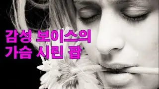 감성 보이스의 가슴 시린 팝 [Slan Abhaile/ C'est La Vie/ Only Time/ Midnight Blue/ Oh, Danny Boy... ]