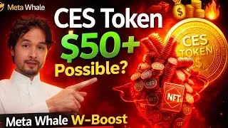🚀 CES Token $50+ Possible? Meta Whale W-Boost Program Complete Analysis! 💰🔥