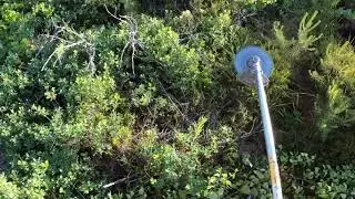 Männyntaimikon varhaisperkaus Palus, Ulvila. Pitkä versio. Taimikonhoito / metsän raivausta