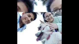 Como esta llendo el team caos (aviso importante no canon!!!! Megan x mateo!!!!)