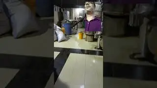 Chilli Cumin Coriander Turmaric milling powder #spice #machine #viral #shortvideo #motivation